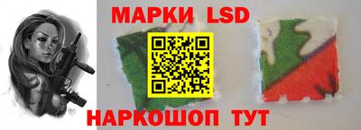 прущие грибы Краснознаменск