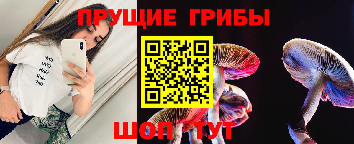 Кизилюрт  Галлюциногенные грибы прущие грибы  Вход с VPN  Галлюциногенные грибы Psilocybe 