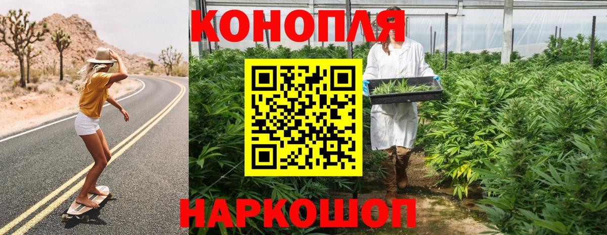Конопля AK-47 Кизилюрт